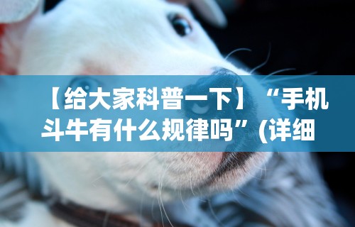 【给大家科普一下】“手机斗牛有什么规律吗	”(详细透视教程)-知乎