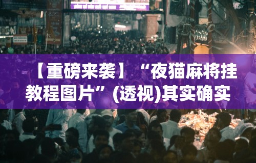 【重磅来袭】“夜猫麻将挂教程图片”(透视)其实确实有挂