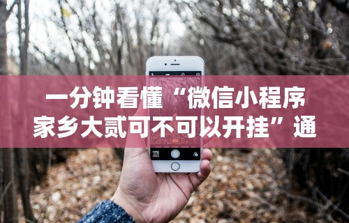 一分钟看懂“微信小程序家乡大贰可不可以开挂”通用版下载教程!