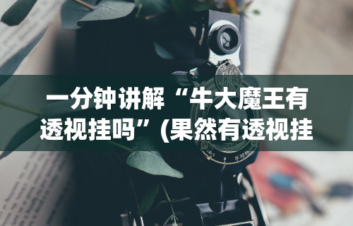 一分钟讲解“牛大魔王有透视挂吗”(果然有透视挂)