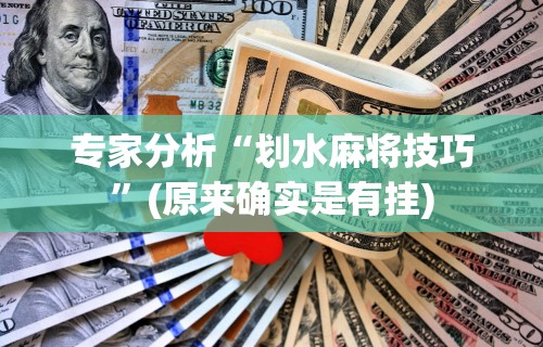 专家分析“划水麻将技巧”(原来确实是有挂)