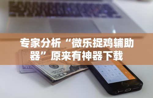 专家分析“微乐捉鸡辅助器”原来有神器下载
