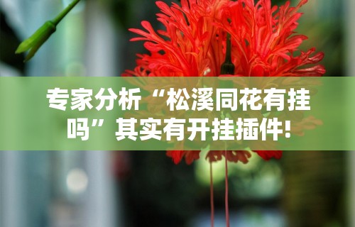 专家分析“松溪同花有挂吗	”其实有开挂插件!