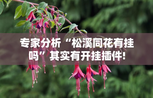 专家分析“松溪同花有挂吗”其实有开挂插件!