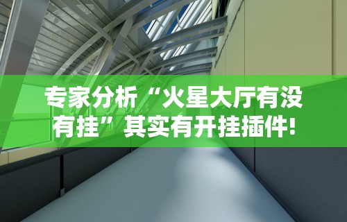 专家分析“火星大厅有没有挂”其实有开挂插件!