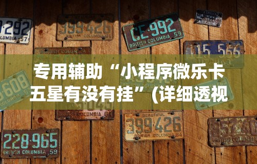 专用辅助“小程序微乐卡五星有没有挂”(详细透视教程)