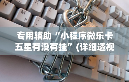 专用辅助“小程序微乐卡五星有没有挂”(详细透视教程)