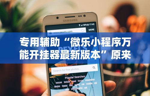 专用辅助“微乐小程序万能开挂器最新版本”原来有神器下载!