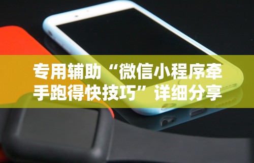 专用辅助“微信小程序牵手跑得快技巧”详细分享装挂步骤教程