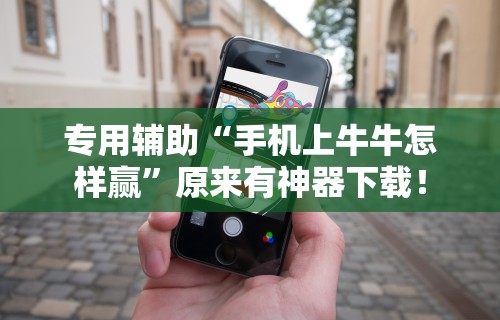 专用辅助“手机上牛牛怎样赢”原来有神器下载！