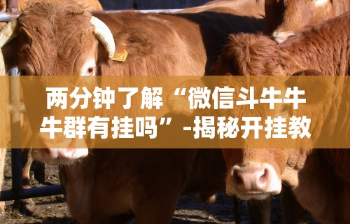 两分钟了解“微信斗牛牛牛群有挂吗	”-揭秘开挂教程分享
