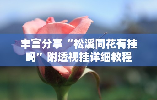 丰富分享“松溪同花有挂吗”附透视挂详细教程
