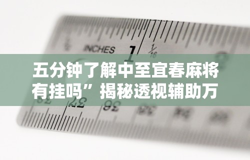 五分钟了解中至宜春麻将有挂吗”揭秘透视辅助万能挂用法