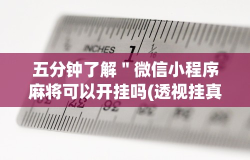 五分钟了解"微信小程序麻将可以开挂吗(透视挂真的假的) 五分钟了解"微信小程序麻将可以开挂吗(透视挂真的假的)