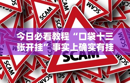 今日必看教程“口袋十三张开挂”事实上确实有挂
