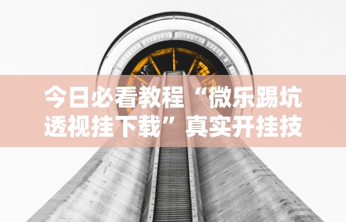 今日必看教程“微乐踢坑透视挂下载”真实开挂技巧分享