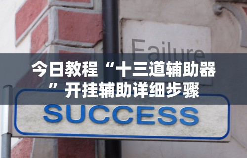 今日教程“十三道辅助器”开挂辅助详细步骤