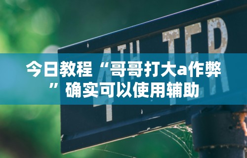 今日教程“哥哥打大a作弊”确实可以使用辅助