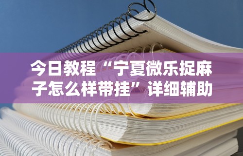今日教程“宁夏微乐捉麻子怎么样带挂	”详细辅助透视