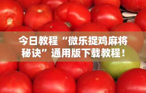 今日教程“微乐捉鸡麻将秘诀”通用版下载教程！