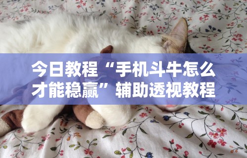 今日教程“手机斗牛怎么才能稳赢	”辅助透视教程