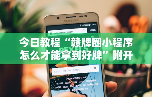 今日教程“赣牌圈小程序怎么才能拿到好牌	”附开挂脚本详细步骤