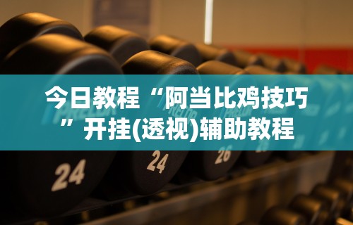 今日教程“阿当比鸡技巧”开挂(透视)辅助教程