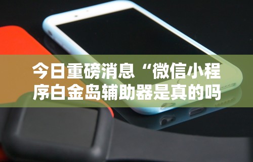 今日重磅消息“微信小程序白金岛辅助器是真的吗	”真实开挂技巧分享