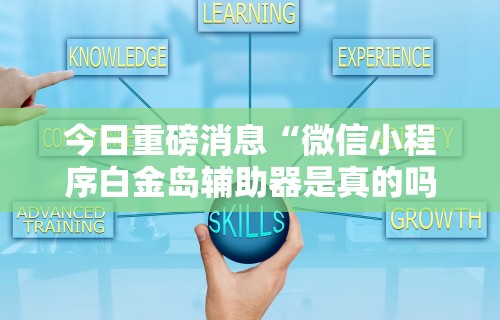 今日重磅消息“微信小程序白金岛辅助器是真的吗”真实开挂技巧分享