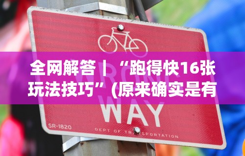 全网解答｜“跑得快16张玩法技巧”(原来确实是有插件)