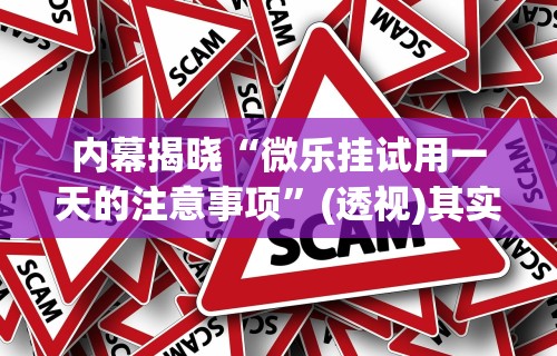 内幕揭晓“微乐挂试用一天的注意事项	”(透视)其实确实有挂