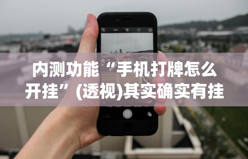 内测功能“手机打牌怎么开挂	”(透视)其实确实有挂