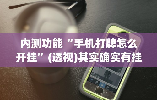 内测功能“手机打牌怎么开挂”(透视)其实确实有挂