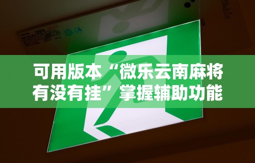 可用版本“微乐云南麻将有没有挂”掌握辅助功能必胜规则