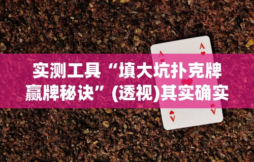 实测工具“填大坑扑克牌赢牌秘诀”(透视)其实确实有挂