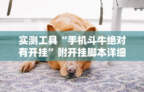 实测工具“手机斗牛绝对有开挂”附开挂脚本详细教程