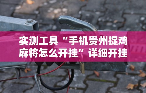 实测工具“手机贵州捉鸡麻将怎么开挂”详细开挂教程