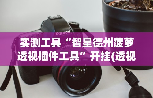 实测工具“智星德州菠萝透视插件工具”开挂(透视)辅助
