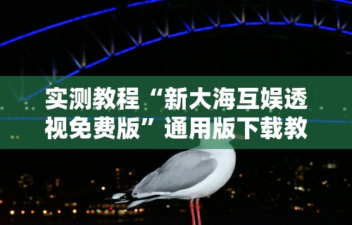实测教程“新大海互娱透视免费版”通用版下载教程