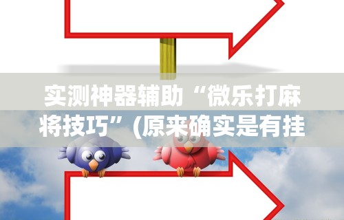 实测神器辅助“微乐打麻将技巧”(原来确实是有挂)