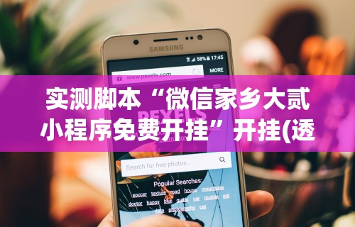 实测脚本“微信家乡大贰小程序免费开挂”开挂(透视)辅助教程