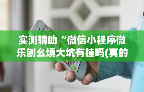 实测辅助“微信小程序微乐刨幺填大坑有挂吗(真的有挂)