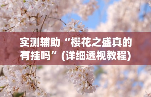 实测辅助“樱花之盛真的有挂吗”(详细透视教程)
