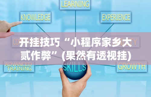 开挂技巧“小程序家乡大贰作弊”(果然有透视挂)