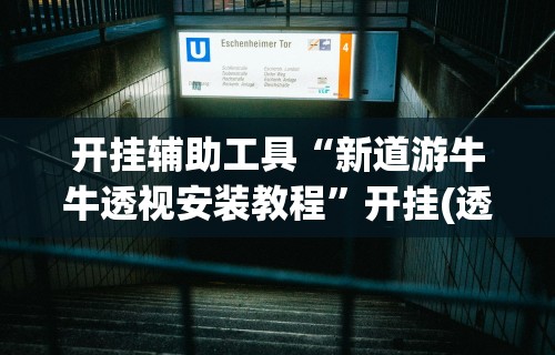 开挂辅助工具“新道游牛牛透视安装教程	”开挂(透视)辅助教程