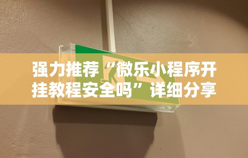 强力推荐“微乐小程序开挂教程安全吗”详细分享装挂步骤教程