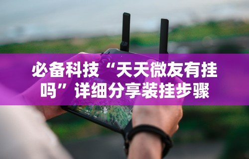 必备科技“天天微友有挂吗”详细分享装挂步骤