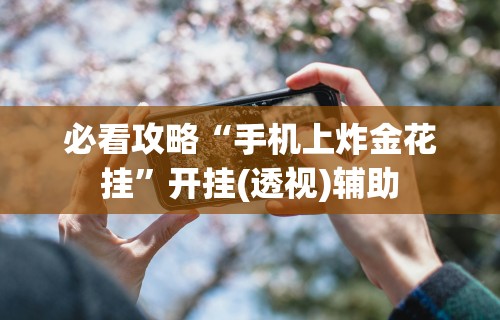 必看攻略“手机上炸金花挂”开挂(透视)辅助