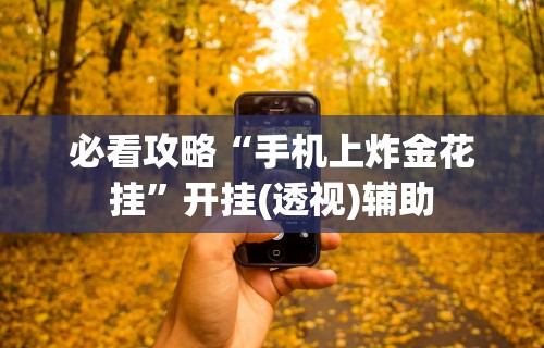 必看攻略“手机上炸金花挂”开挂(透视)辅助