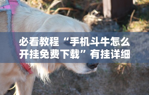 必看教程“手机斗牛怎么开挂免费下载”有挂详细开挂教程